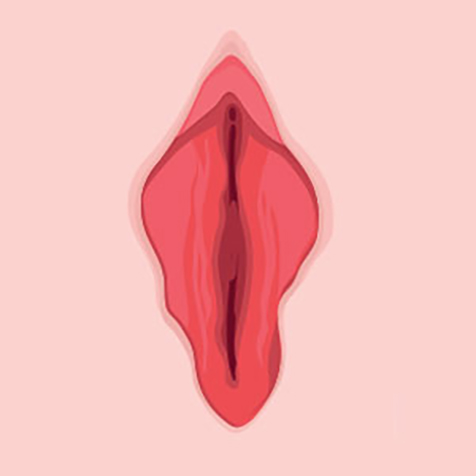 Labia Tightening treatment options at SF Bay Cosmetic Surgery Medical Group in San Ramon